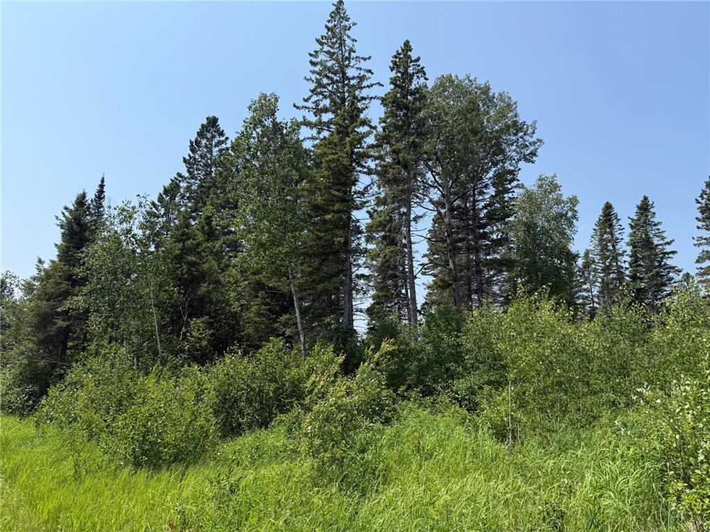 3437 Blueberry Hill Rd. Two Harbors MN 55616 6670887 image104