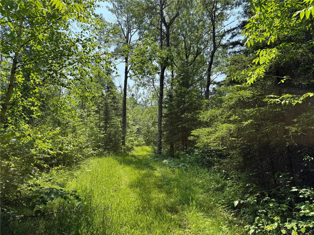 3437 Blueberry Hill Rd. Two Harbors MN 55616 6670887 image105