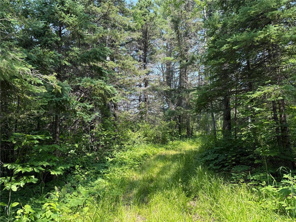 3437 Blueberry Hill Rd. Two Harbors MN 55616 6670887 image106