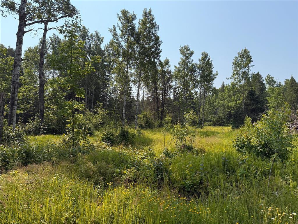 3437 Blueberry Hill Rd. Two Harbors MN 55616 6670887 image66