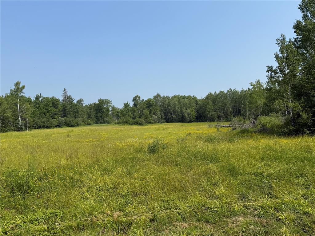 3437 Blueberry Hill Rd. Two Harbors MN 55616 6670887 image67