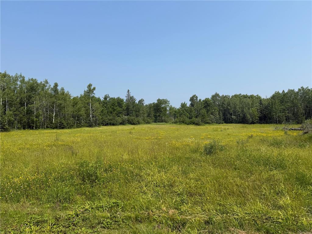 3437 Blueberry Hill Rd. Two Harbors MN 55616 6670887 image68