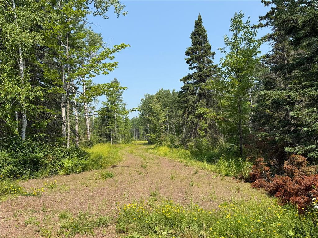 3437 Blueberry Hill Rd. Two Harbors MN 55616 6670887 image69