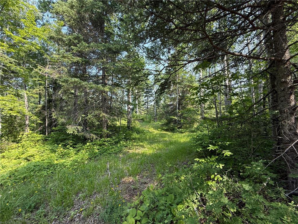 3437 Blueberry Hill Rd. Two Harbors MN 55616 6670887 image71