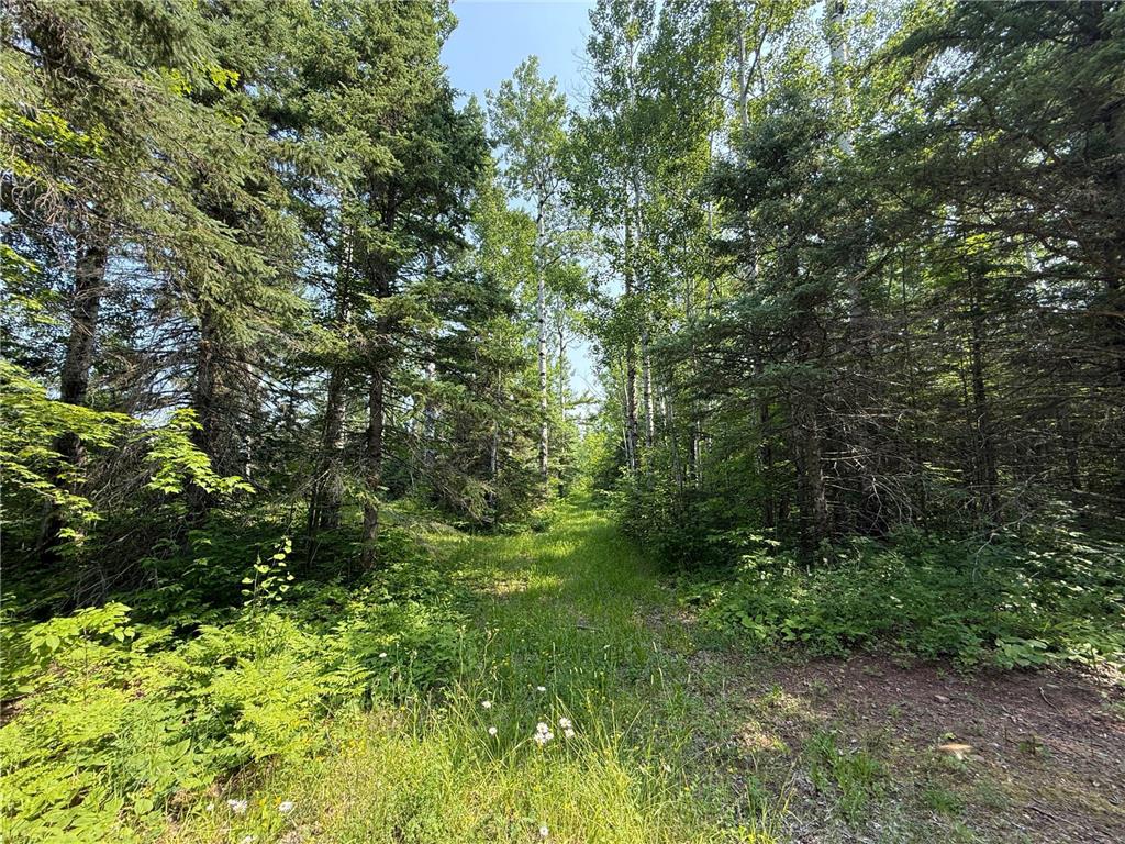 3437 Blueberry Hill Rd. Two Harbors MN 55616 6670887 image72