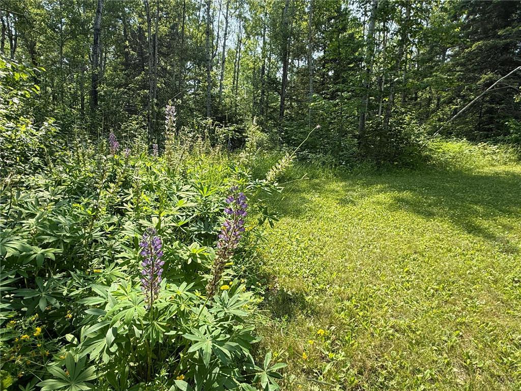 3437 Blueberry Hill Rd. Two Harbors MN 55616 6670887 image73