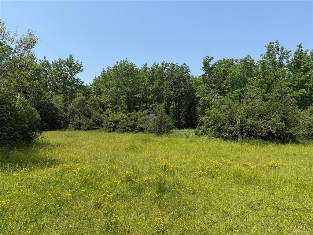 3437 Blueberry Hill Rd. Two Harbors MN 55616 6670887 image75