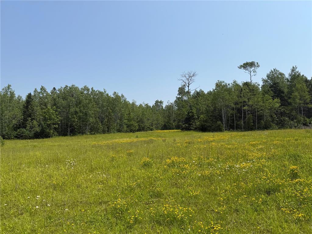 3437 Blueberry Hill Rd. Two Harbors MN 55616 6670887 image77