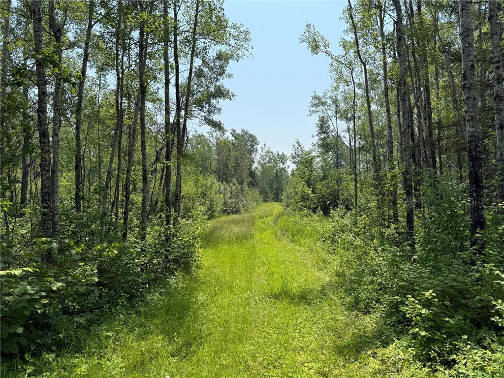 3437 Blueberry Hill Rd. Two Harbors MN 55616 6670887 image78