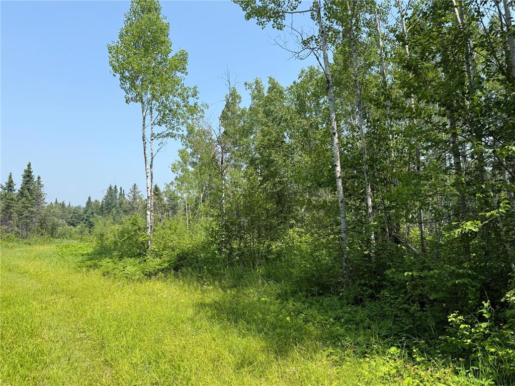 3437 Blueberry Hill Rd. Two Harbors MN 55616 6670887 image79