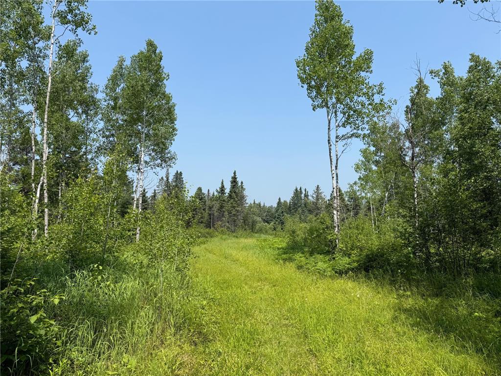 3437 Blueberry Hill Rd. Two Harbors MN 55616 6670887 image80