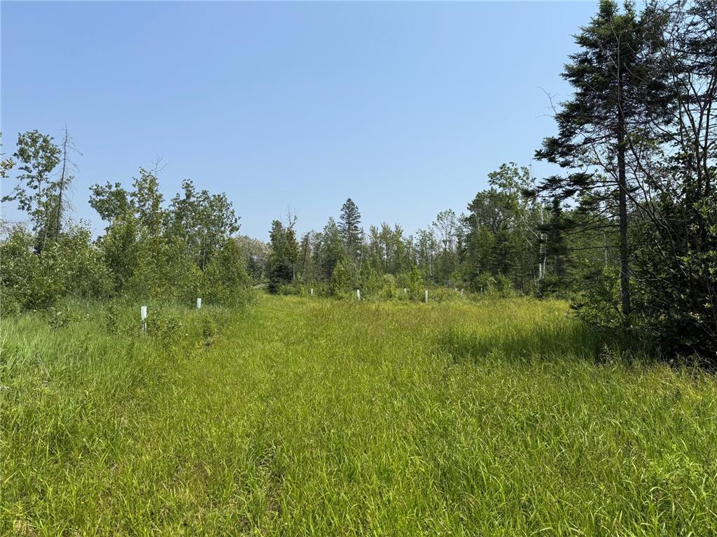 3437 Blueberry Hill Rd. Two Harbors MN 55616 6670887 image81