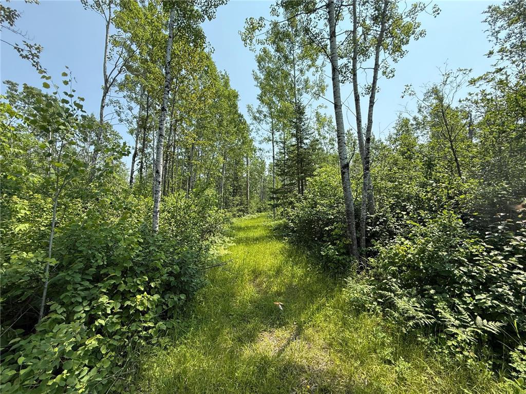 3437 Blueberry Hill Rd. Two Harbors MN 55616 6670887 image83