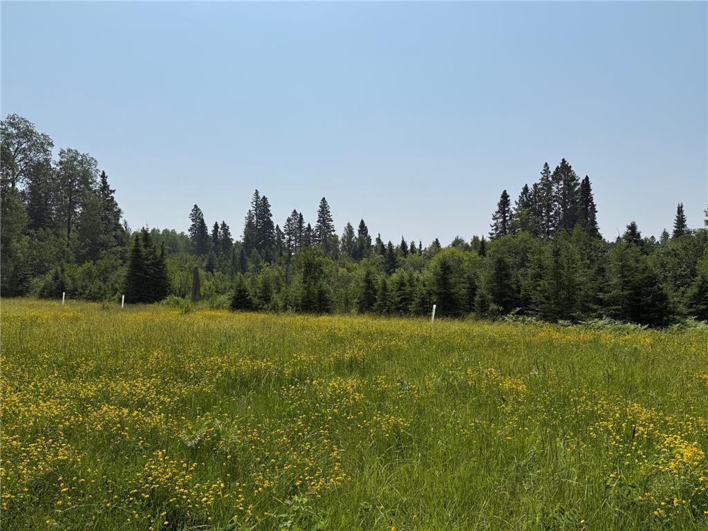 3437 Blueberry Hill Rd. Two Harbors MN 55616 6670887 image84