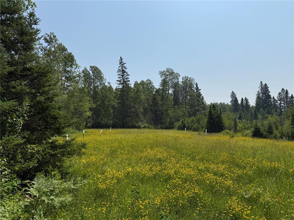 3437 Blueberry Hill Rd. Two Harbors MN 55616 6670887 image85