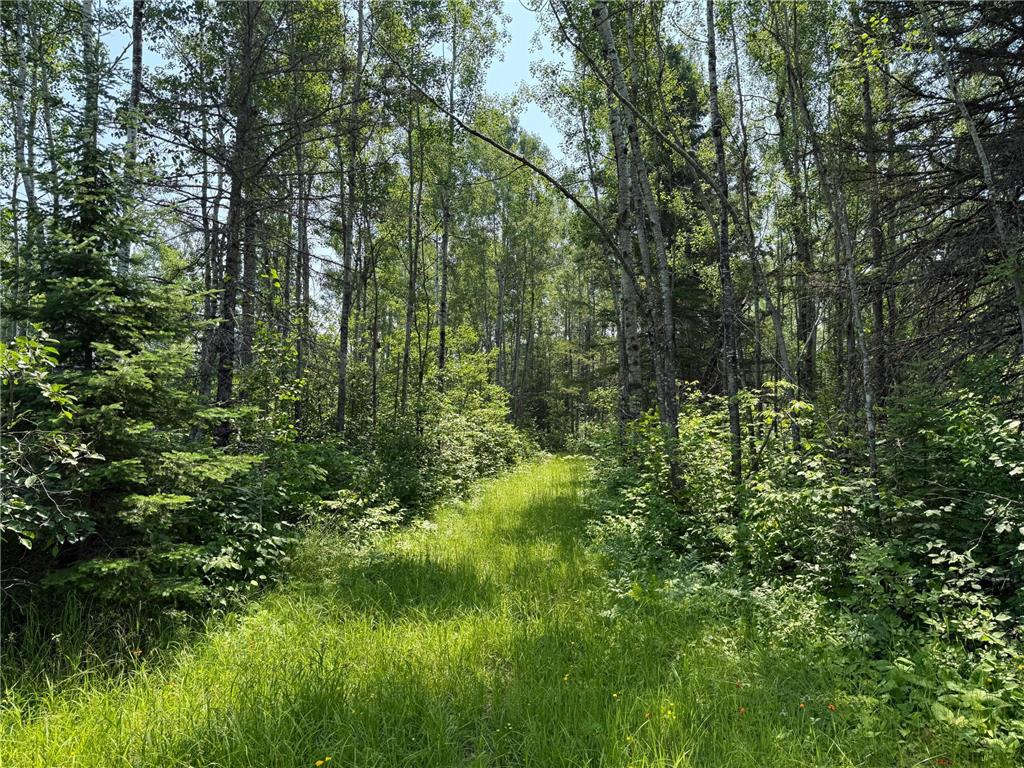 3437 Blueberry Hill Rd. Two Harbors MN 55616 6670887 image86