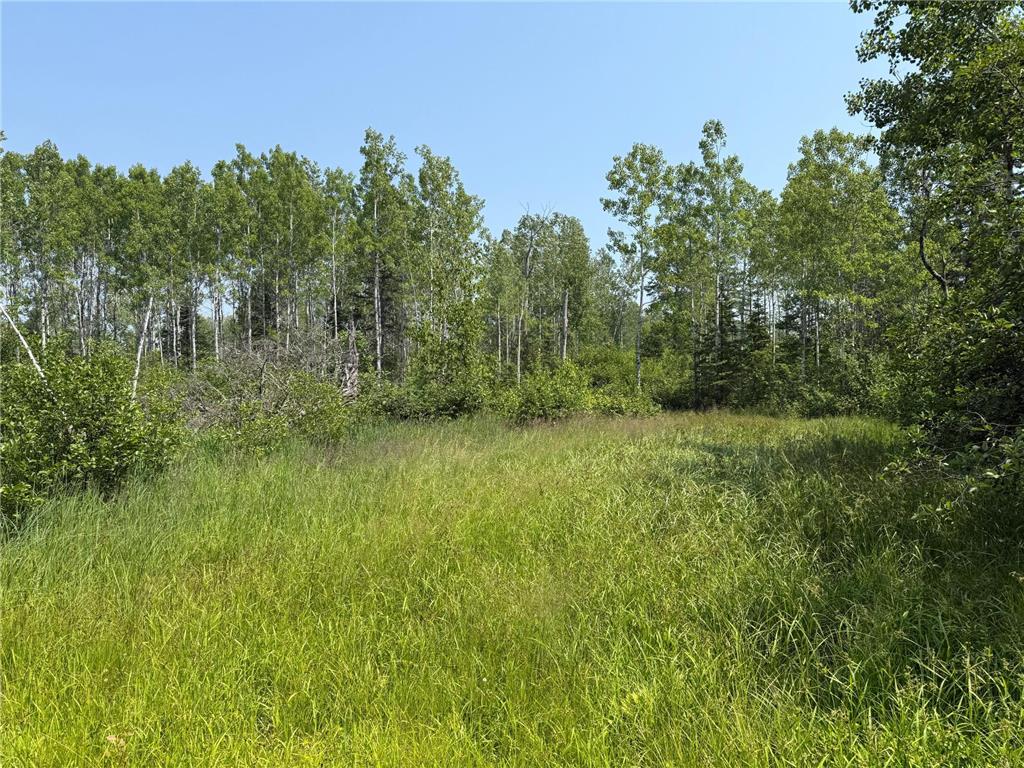 3437 Blueberry Hill Rd. Two Harbors MN 55616 6670887 image87