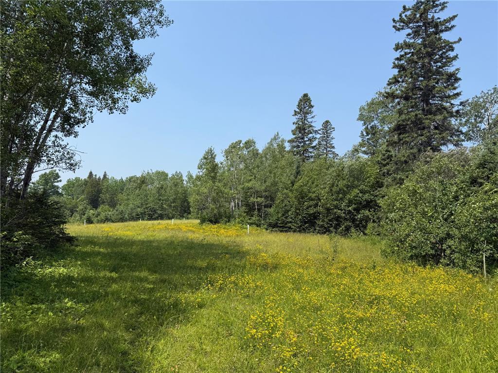 3437 Blueberry Hill Rd. Two Harbors MN 55616 6670887 image88