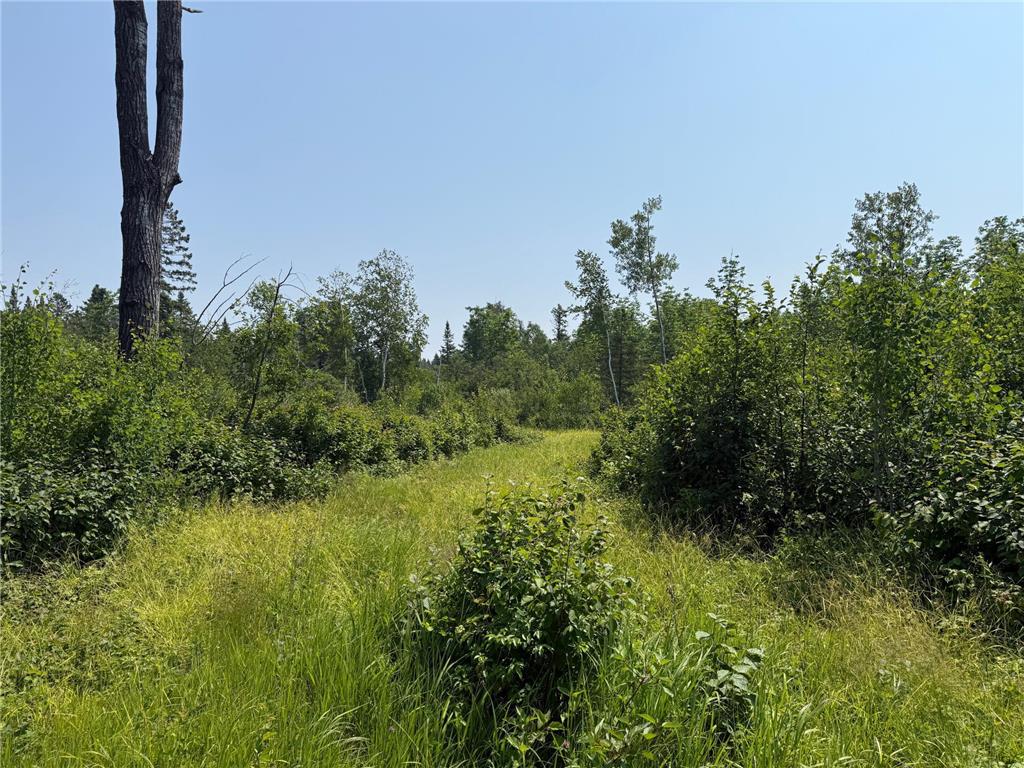 3437 Blueberry Hill Rd. Two Harbors MN 55616 6670887 image89