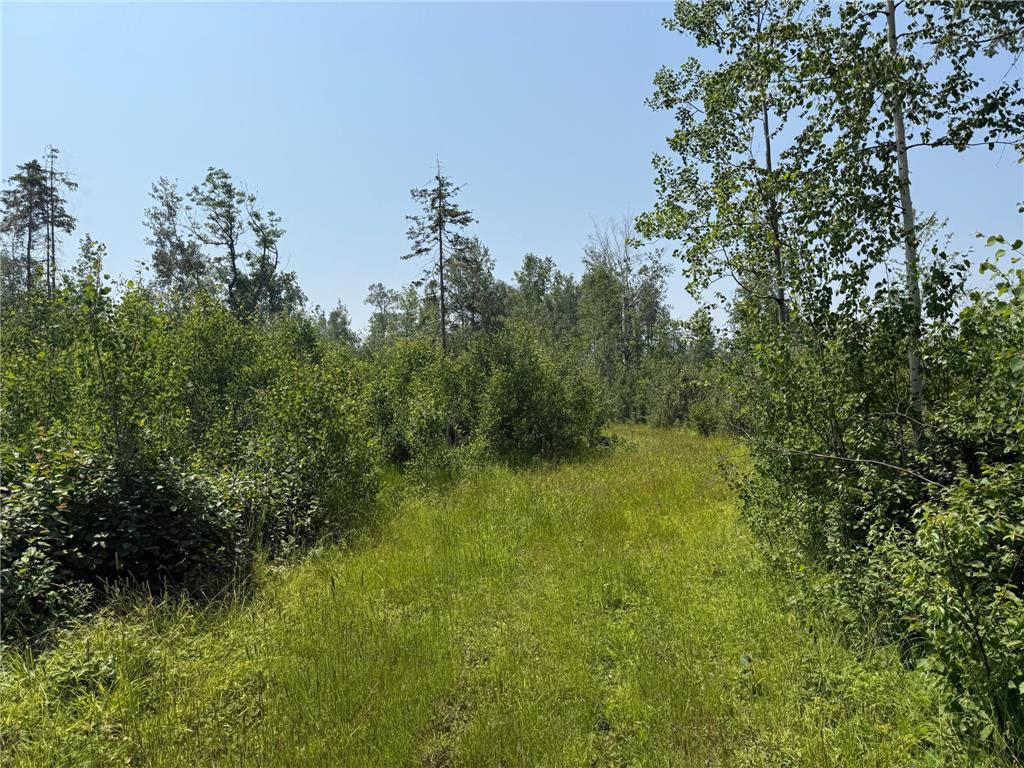 3437 Blueberry Hill Rd. Two Harbors MN 55616 6670887 image90