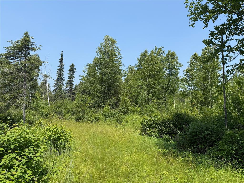 3437 Blueberry Hill Rd. Two Harbors MN 55616 6670887 image91