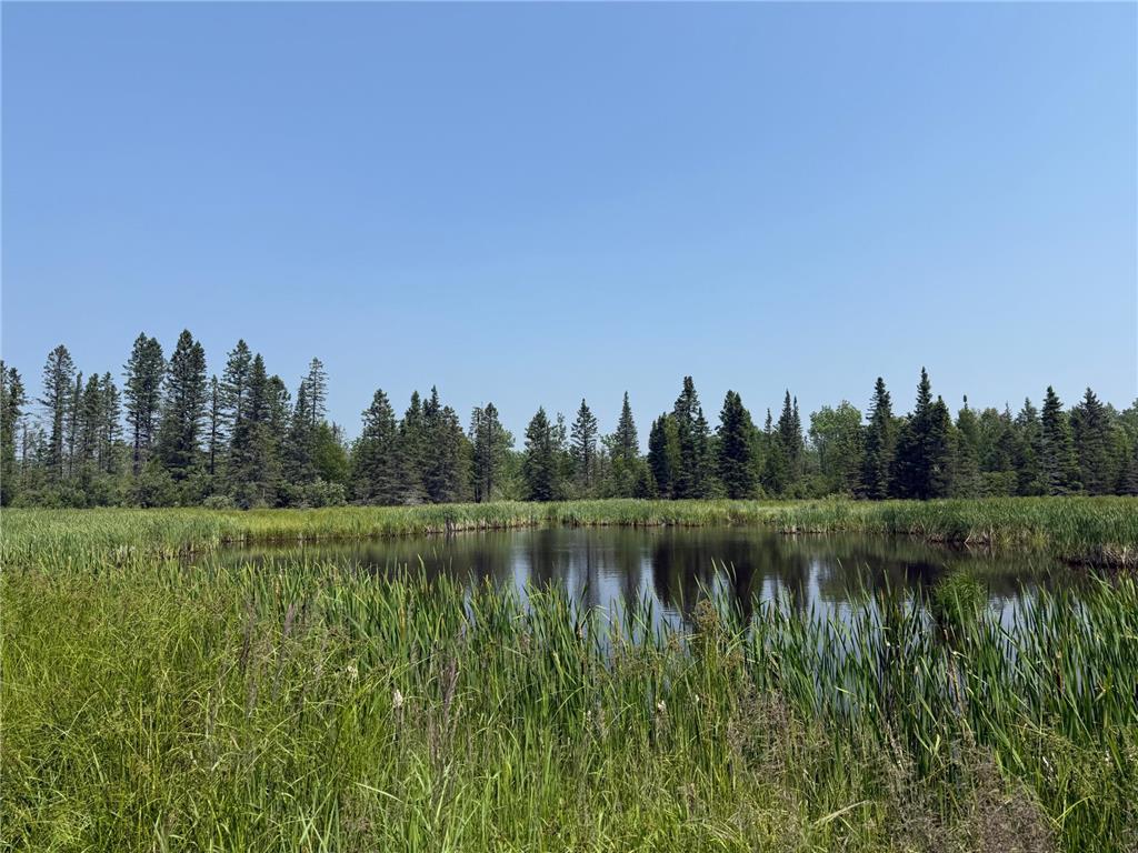 3437 Blueberry Hill Rd. Two Harbors MN 55616 6670887 image93