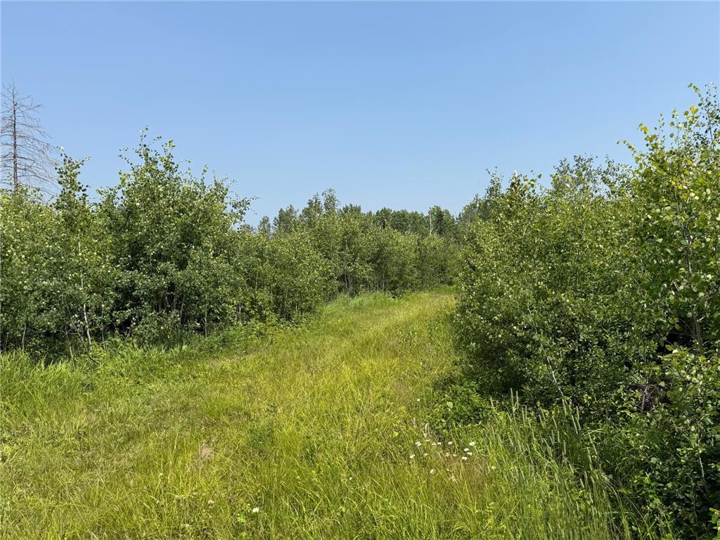 3437 Blueberry Hill Rd. Two Harbors MN 55616 6670887 image94