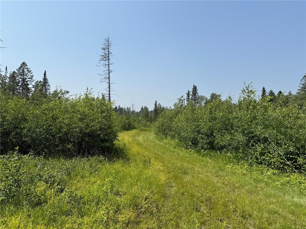 3437 Blueberry Hill Rd. Two Harbors MN 55616 6670887 image95