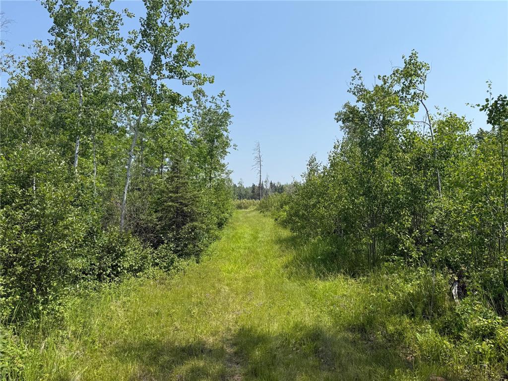 3437 Blueberry Hill Rd. Two Harbors MN 55616 6670887 image96