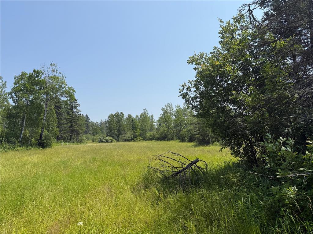 3437 Blueberry Hill Rd. Two Harbors MN 55616 6670887 image98