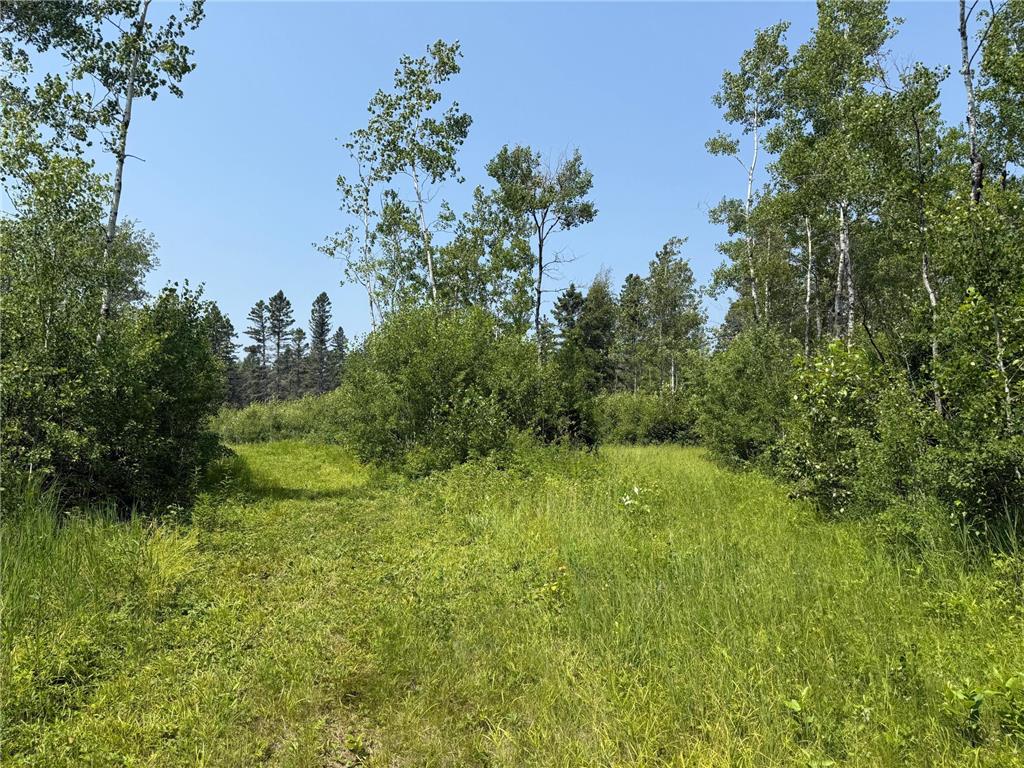 3437 Blueberry Hill Rd. Two Harbors MN 55616 6670887 image99