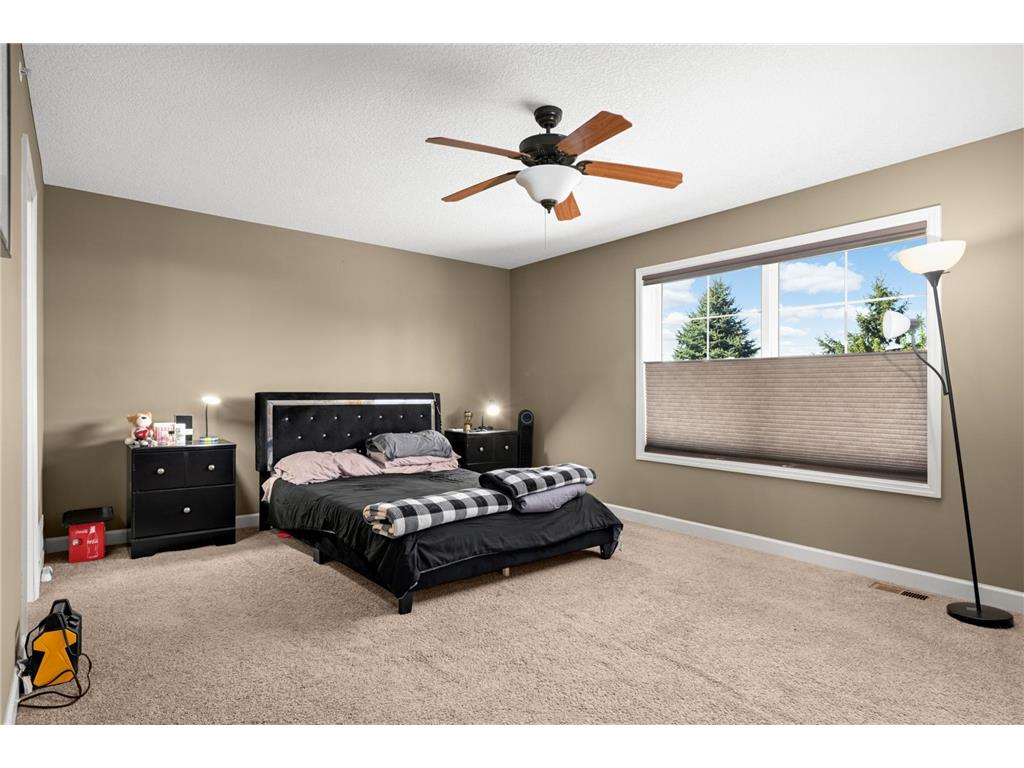 3437 Chestnut Lane Eagan MN 55123 7069878 image20