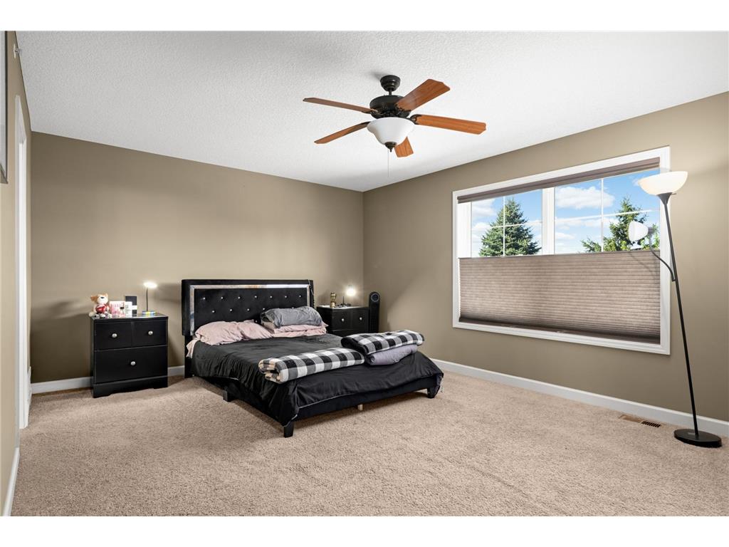 3437 Chestnut Lane Eagan MN 55123 7069878 image21
