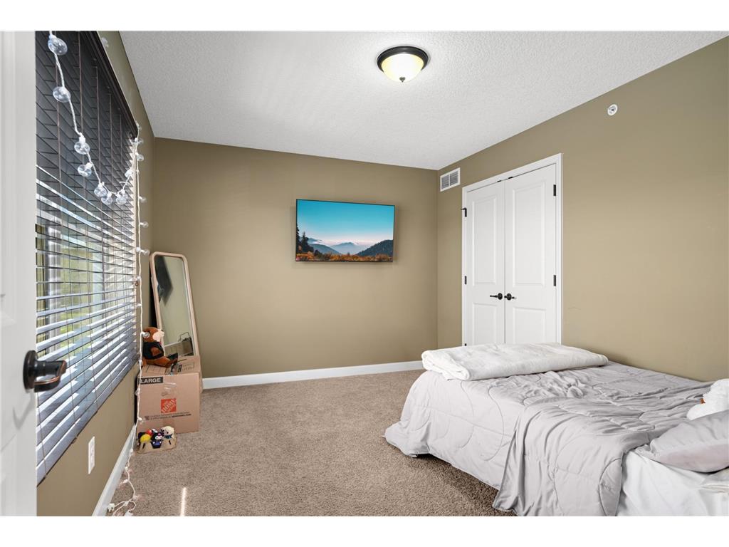 3437 Chestnut Lane Eagan MN 55123 7069878 image24