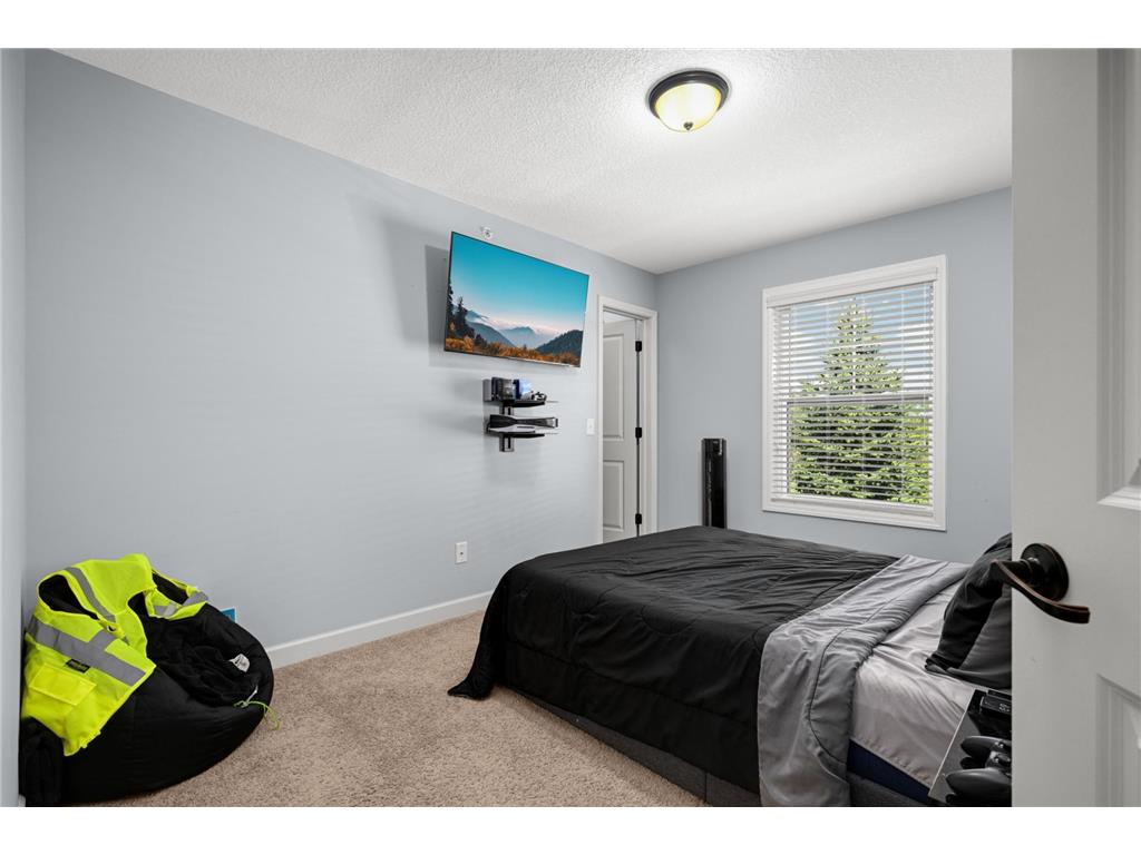 3437 Chestnut Lane Eagan MN 55123 7069878 image25