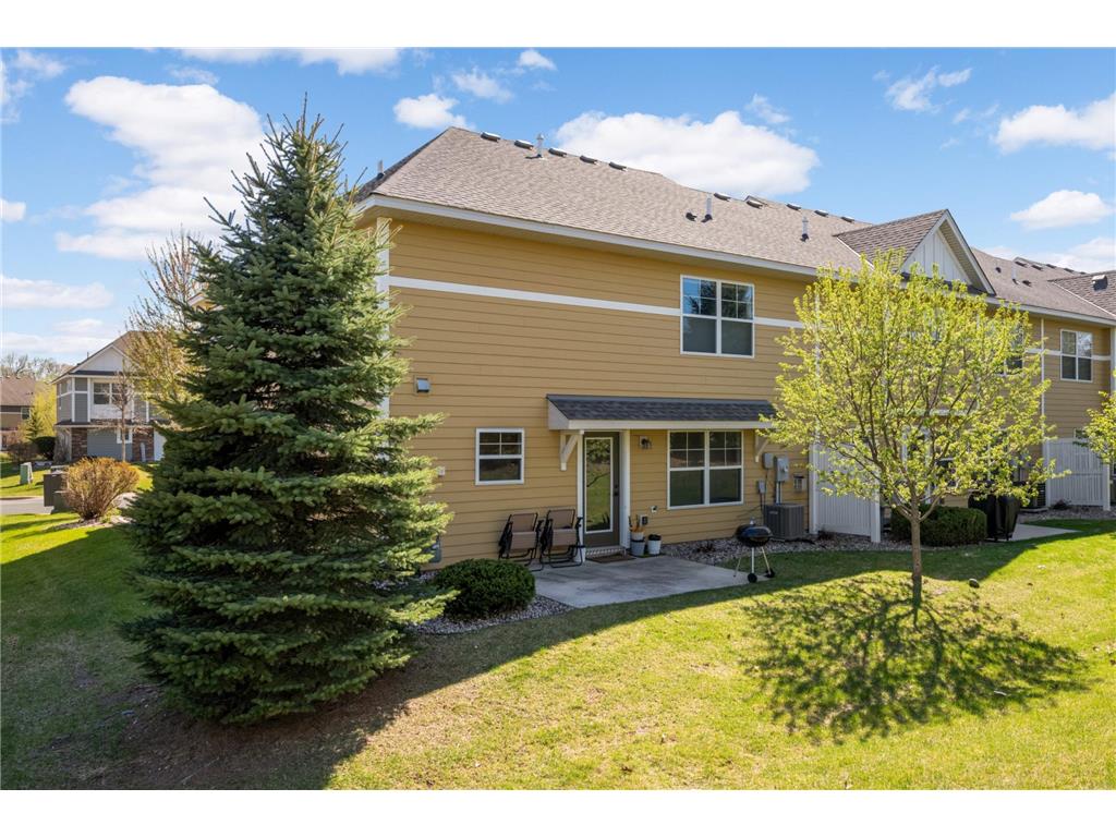 3437 Chestnut Lane Eagan MN 55123 7069878 image29