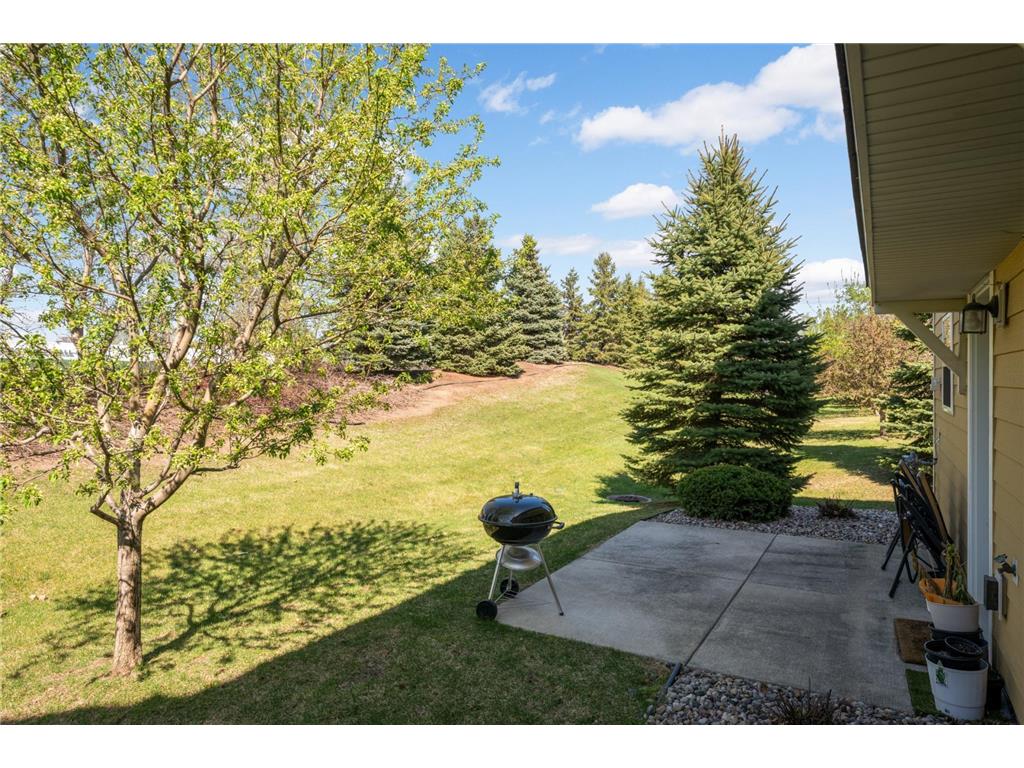 3437 Chestnut Lane Eagan MN 55123 7069878 image30
