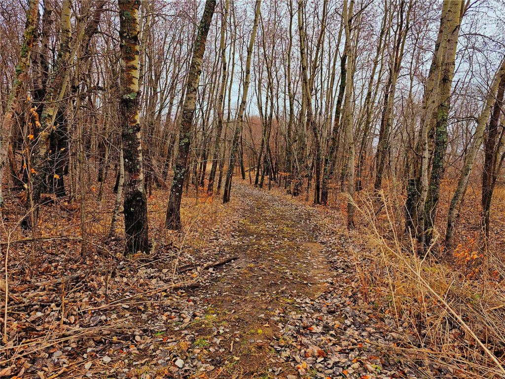 343XX 405th Avenue Richville MN 56576 - Long Lake 6513715 image13