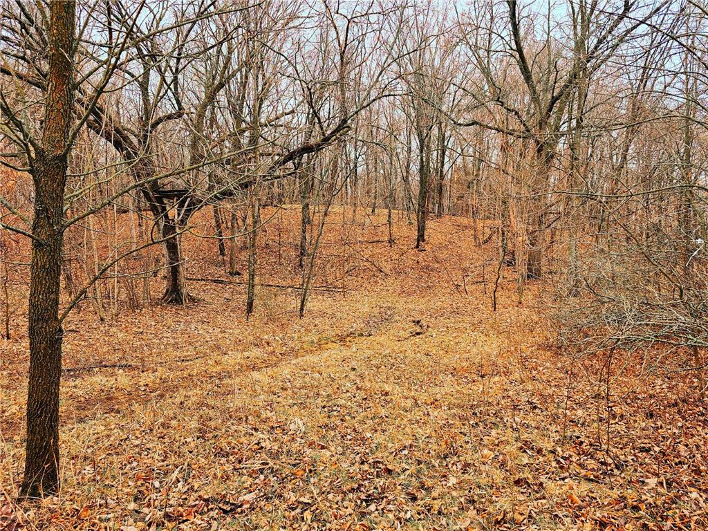 343XX 405th Avenue Richville MN 56576 - Long Lake 6513715 image14