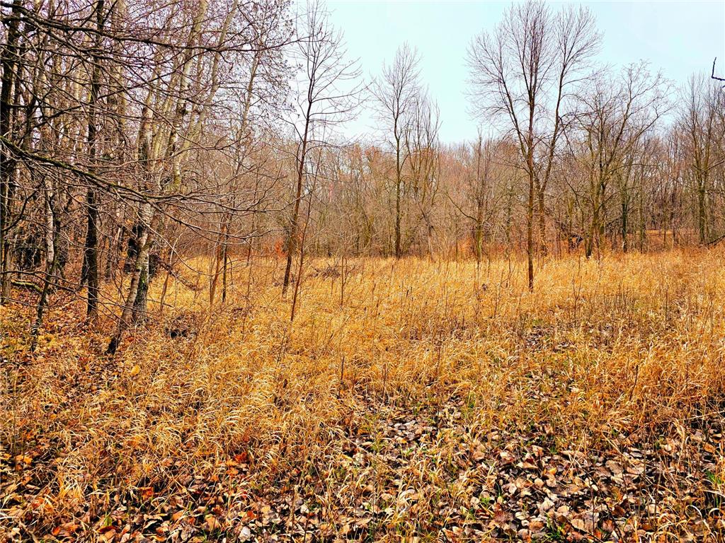 343XX 405th Avenue Richville MN 56576 - Long Lake 6513715 image15