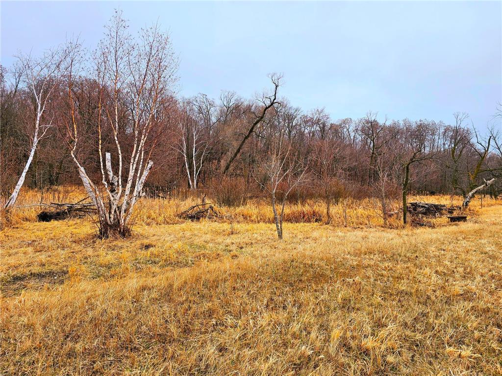 343XX 405th Avenue Richville MN 56576 - Long Lake 6513715 image16