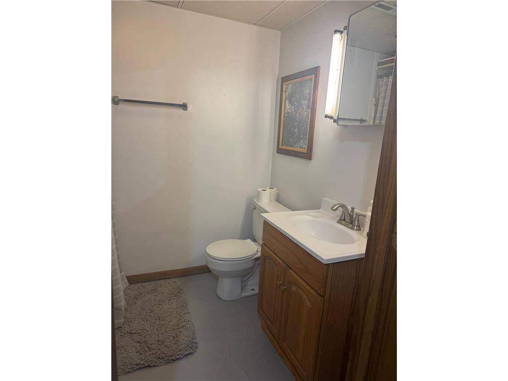 344 Oak Street N Vesta MN 56292 7067681 image18