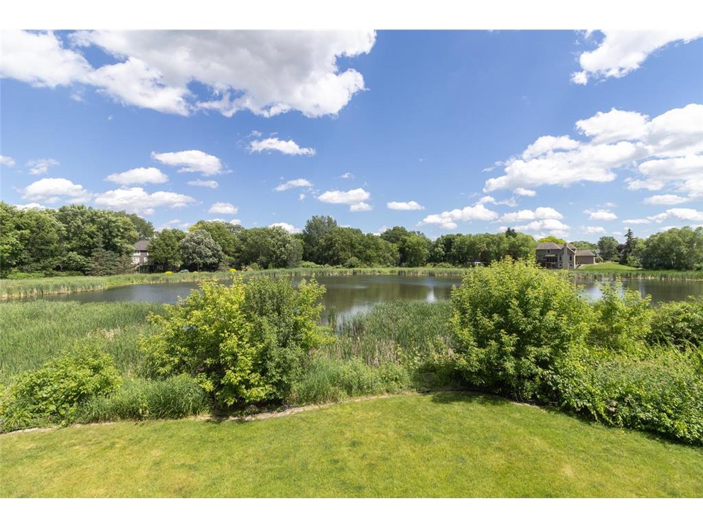 3440 Zircon Lane N Plymouth MN 55447 7077412 image38