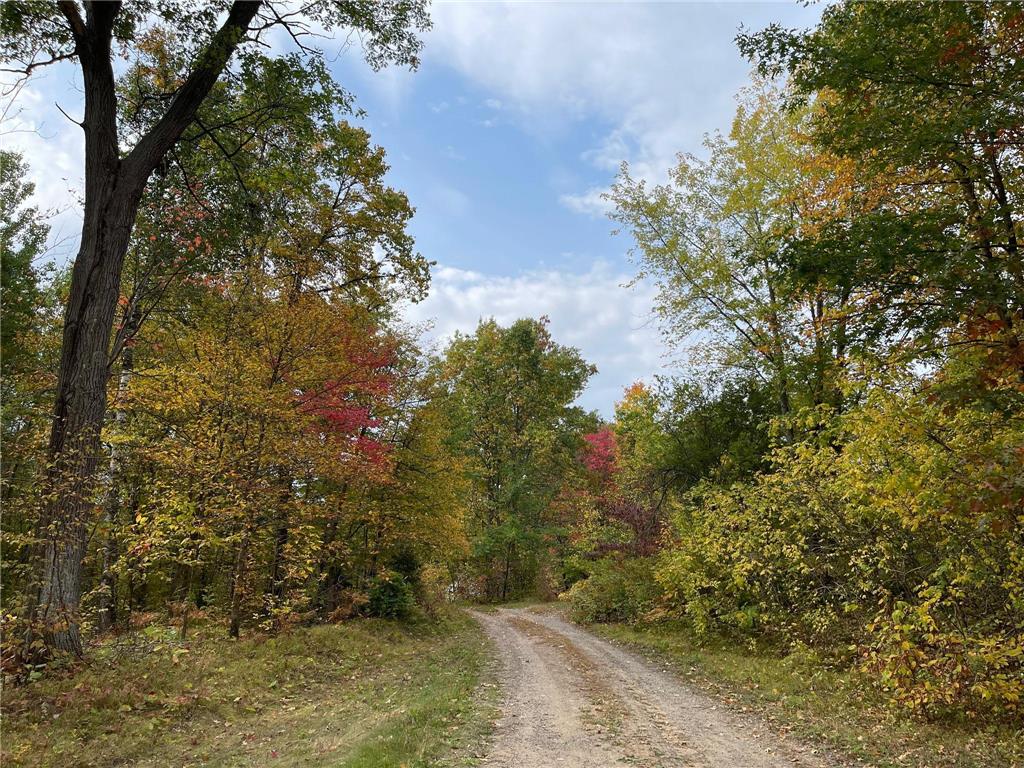 34437 County 18 Cushing MN 56443 7094580 image18
