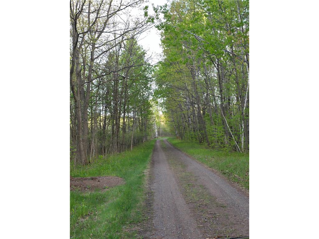 34437 County 18 Cushing MN 56443 7094580 image20