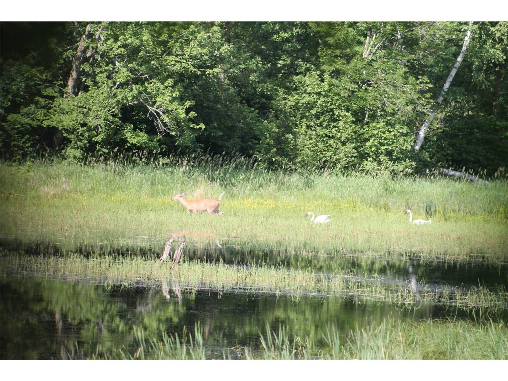 34437 County 18 Cushing MN 56443 7094580 image21