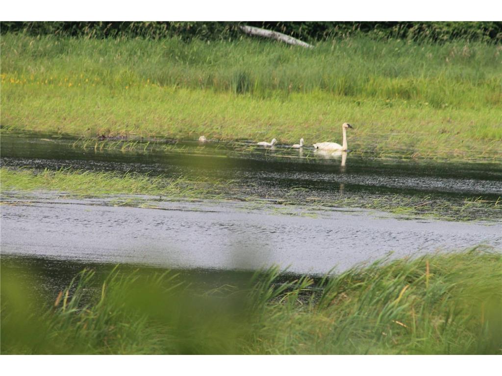34437 County 18 Cushing MN 56443 7094580 image22