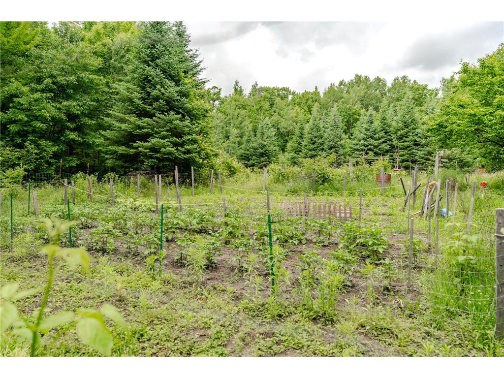 34437 County 18 Cushing MN 56443 7094580 image32