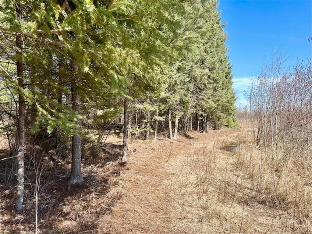 3444 Highway 5 S Hibbing MN 55746 7059423 image3