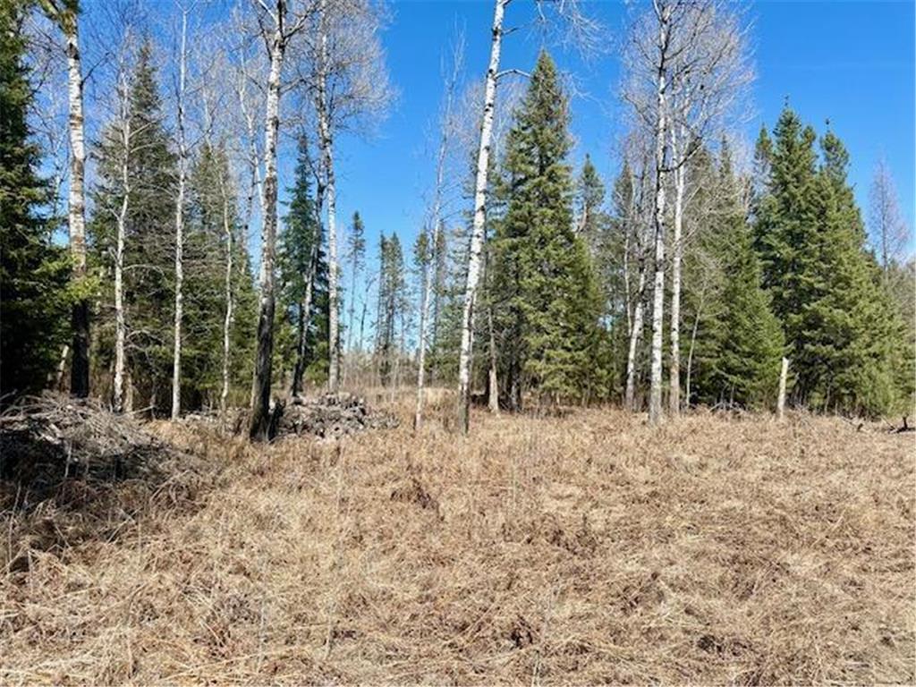 3444 Highway 5 S Hibbing MN 55746 7059423 image5